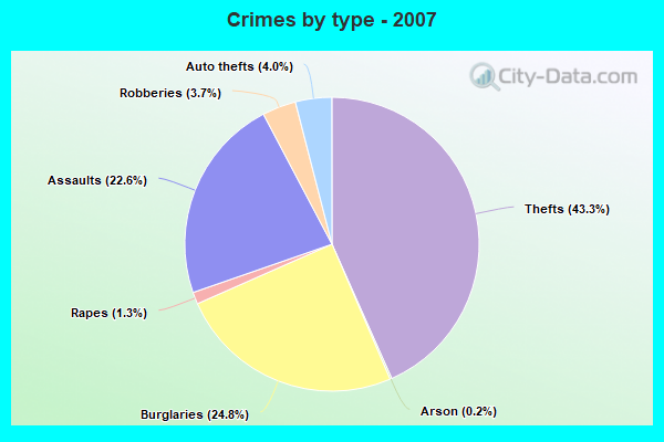 Crimes by type - 2007