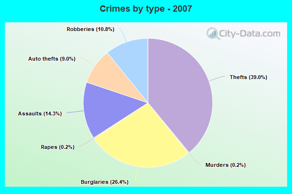 Crimes by type - 2007