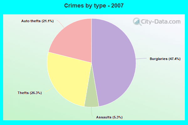 Crimes by type - 2007