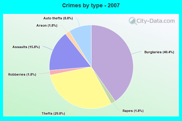 Crimes by type - 2007