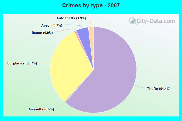 Crimes by type - 2007