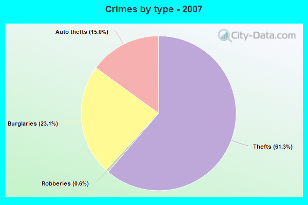 Crimes by type - 2007