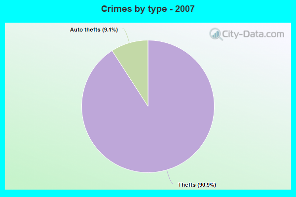 Crimes by type - 2007