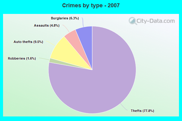 Crimes by type - 2007