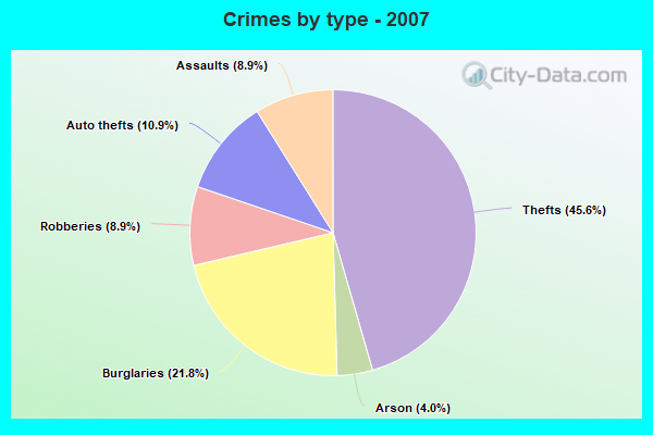 Crimes by type - 2007