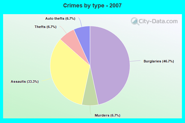 Crimes by type - 2007