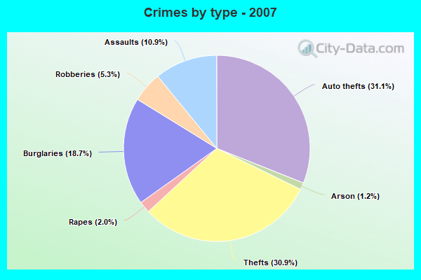 Crimes by type - 2007