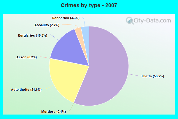 Crimes by type - 2007