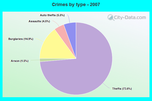 Crimes by type - 2007