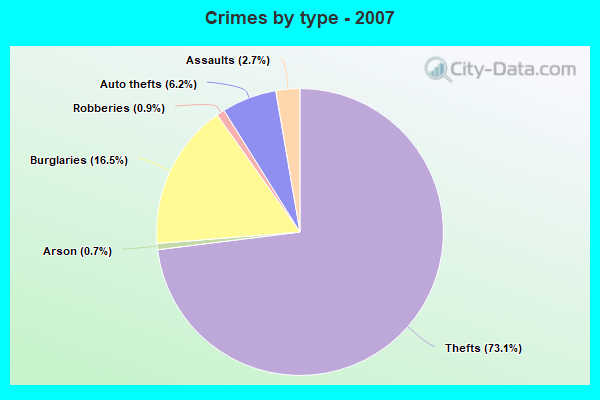 Crimes by type - 2007