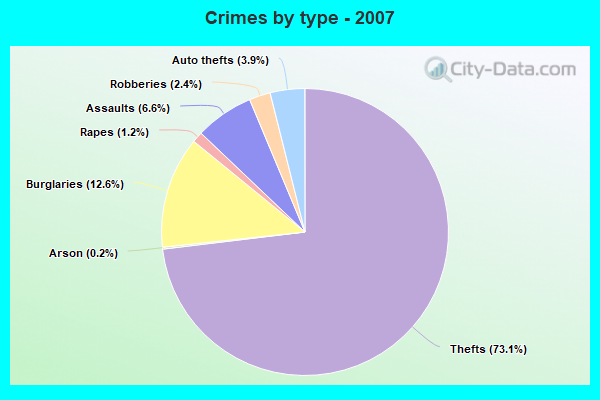 Crimes by type - 2007