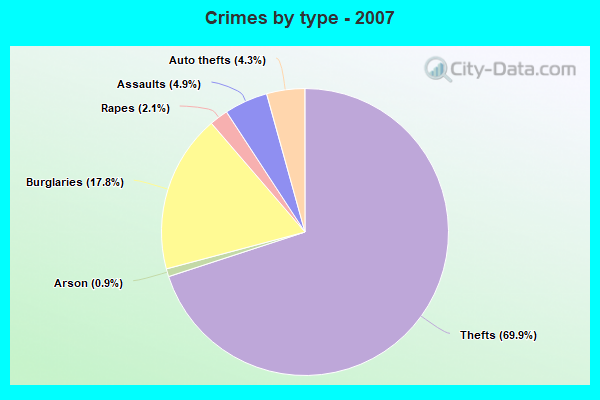 Crimes by type - 2007