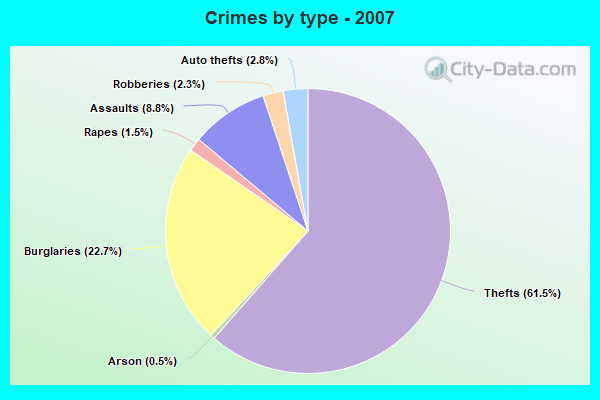 Crimes by type - 2007