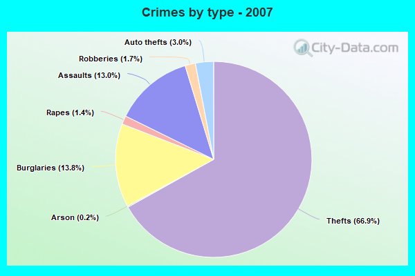 Crimes by type - 2007