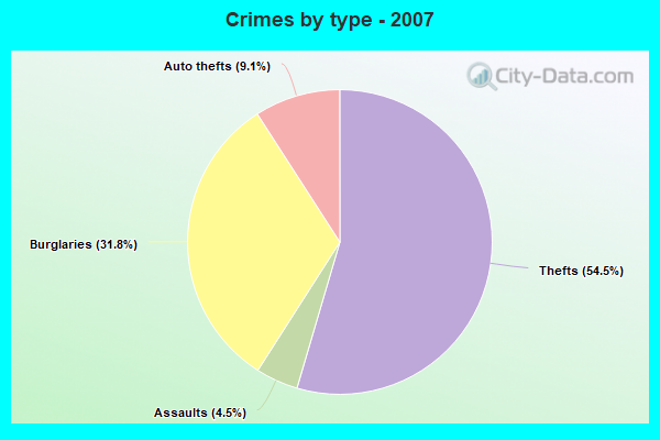 Crimes by type - 2007