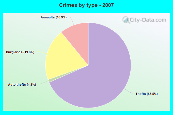 Crimes by type - 2007