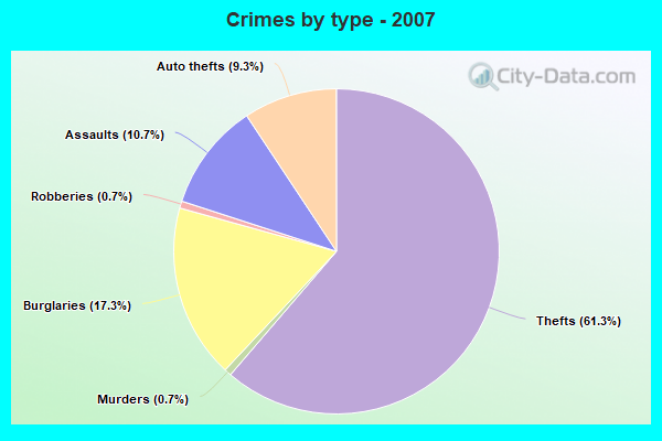 Crimes by type - 2007