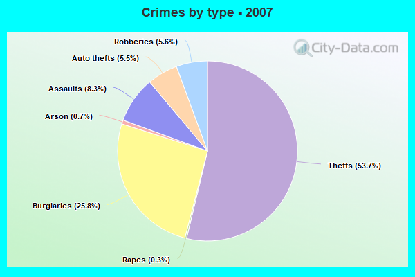 Crimes by type - 2007