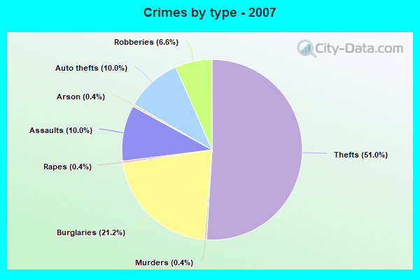 Crimes by type - 2007