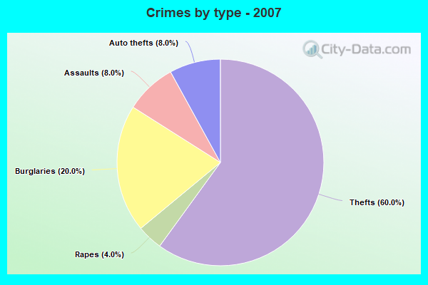 Crimes by type - 2007