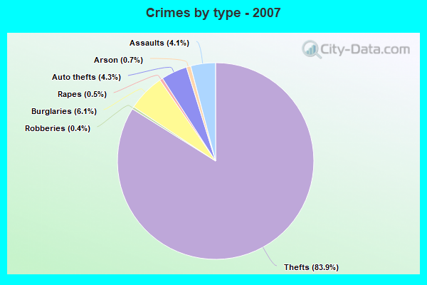 Crimes by type - 2007