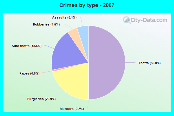 Crimes by type - 2007