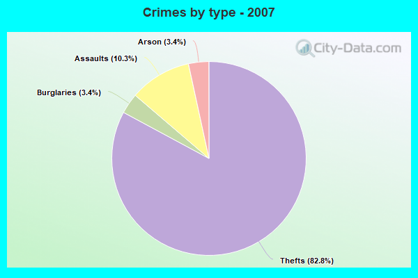 Crimes by type - 2007