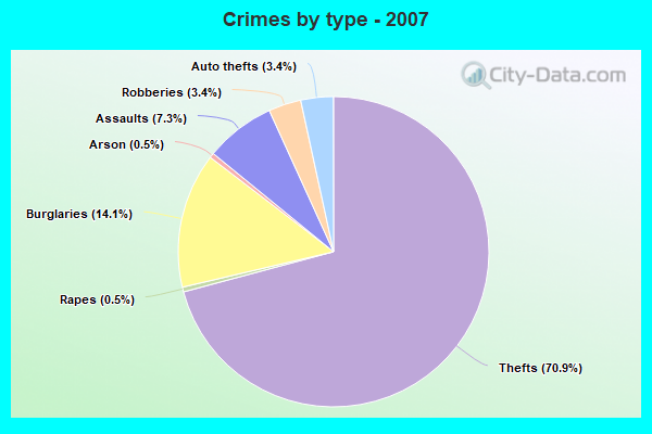 Crimes by type - 2007