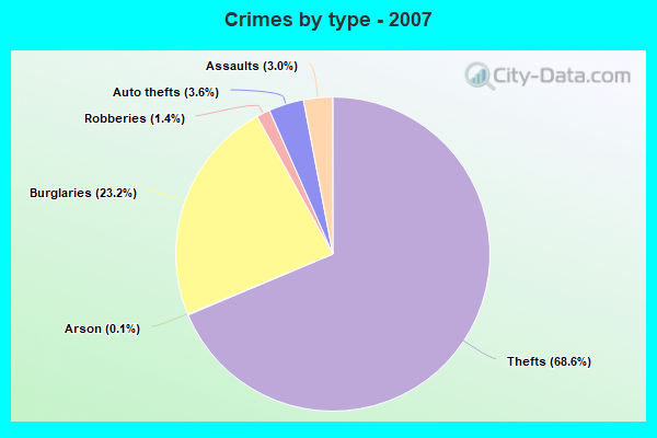 Crimes by type - 2007