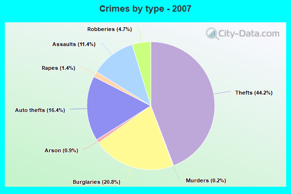 Crimes by type - 2007