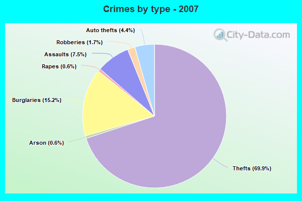 Crimes by type - 2007