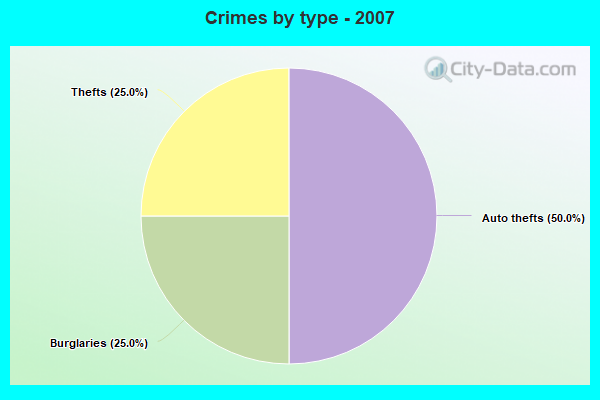 Crimes by type - 2007