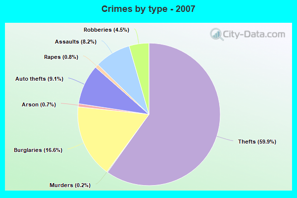 Crimes by type - 2007