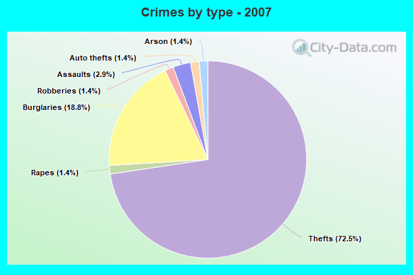 Crimes by type - 2007