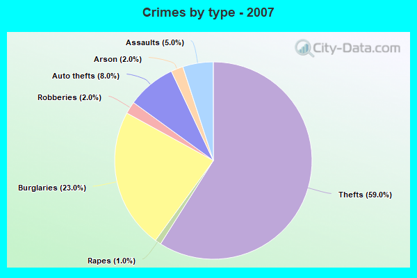 Crimes by type - 2007