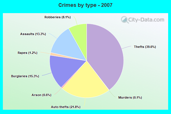 Crimes by type - 2007