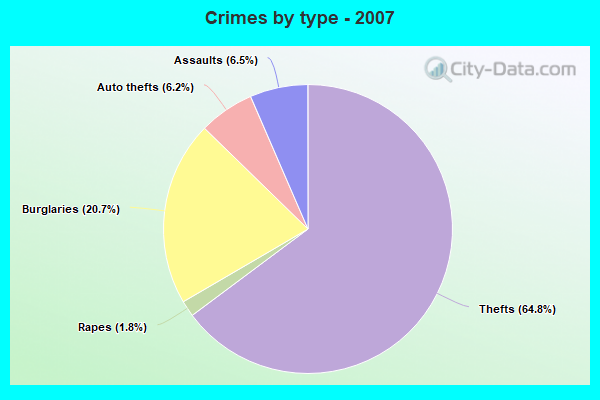 Crimes by type - 2007