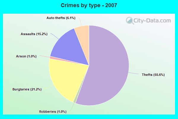 Crimes by type - 2007