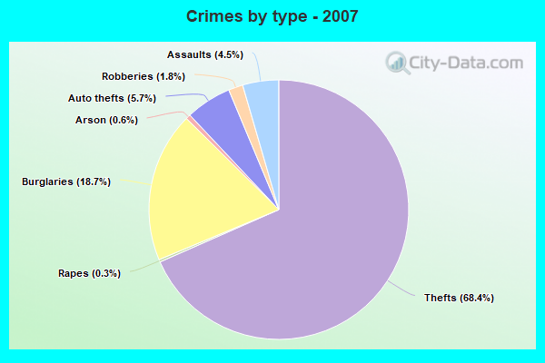 Crimes by type - 2007