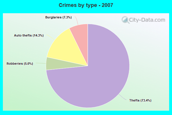 Crimes by type - 2007