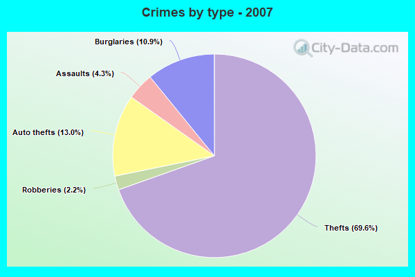 Crimes by type - 2007