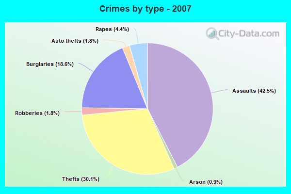 Crimes by type - 2007