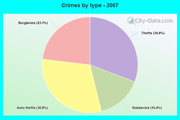 Crimes by type - 2007