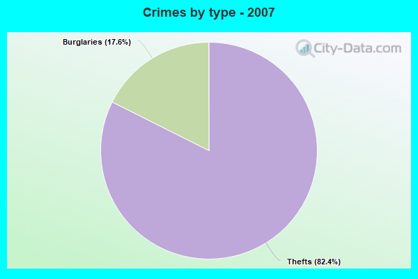 Crimes by type - 2007