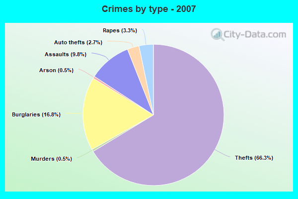 Crimes by type - 2007