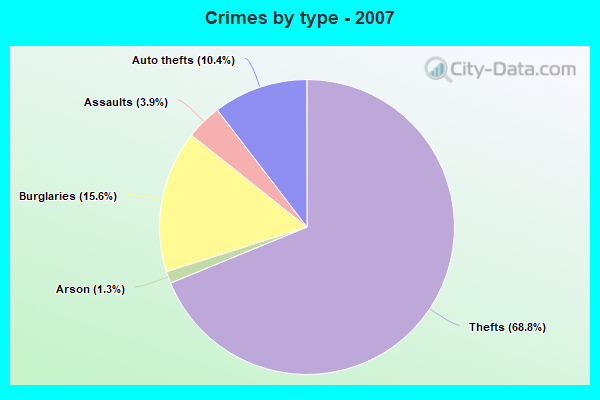 Crimes by type - 2007