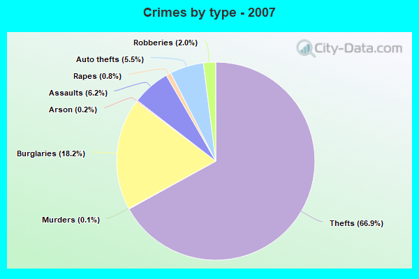 Crimes by type - 2007