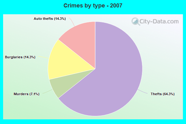 Crimes by type - 2007