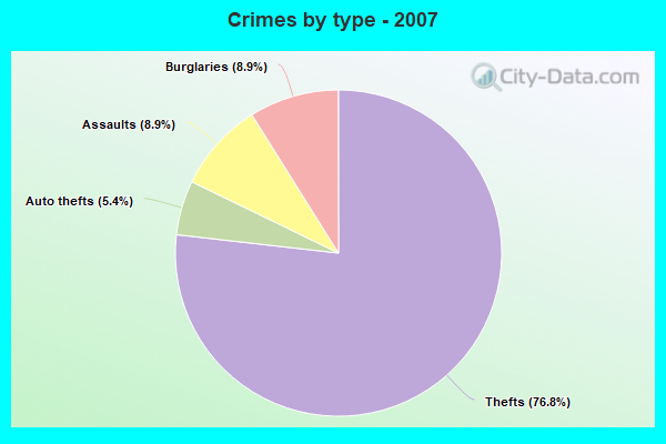 Crimes by type - 2007