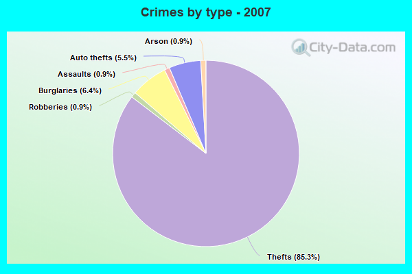 Crimes by type - 2007